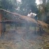 Donaciones para la Aldea Guaporaity